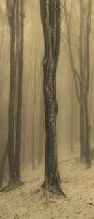 Самоклеющиеся фотообои "Туманный лес зимой", 90x210 см, эффект сепия Фотообои.РФ