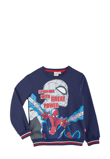 Толстовка детская Spider-man AW20SP0203940 синий р.116