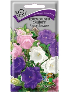 Семена Колокольчик средний Чашка с блюдцем, Смесь, 0,2 г Поиск