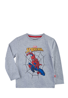 Лонгслив детский Spider-man SS20SP5000352 серый р.110