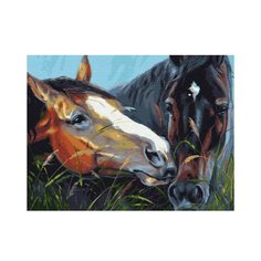 Алмазная мозаика 30*40 см полная выкл. GB74975 "Портрет лошадей" Дамское счастье