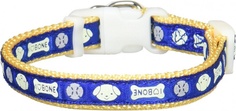 Ошейник для собак Japan Premium Pet Ошейник с накопительной флюоресценцией, SS