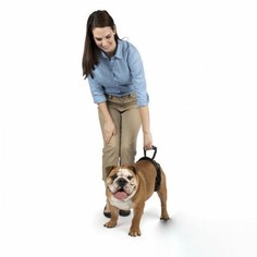 Ходунки поддержка задних лап для пожилых собак PetSafe CareLift Rear Support Harness Stay Well