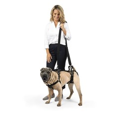 Шлейка-ходунки поддержка задних лап пожилых собак PetSafe CareLift Full Body Harness