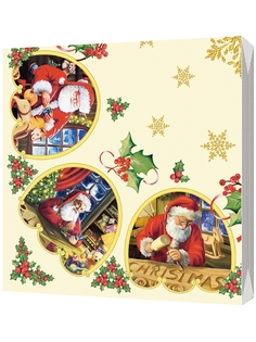 Салфетки бумажные Bulgaree Green Санта трехслойные 33 х 33 см 20 шт