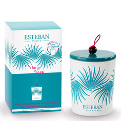 Ароматическая свеча Esteban ИЛАНГ-ИЛАНГ 170 г