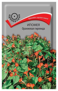 Семена цветов ипомея Оранжевая гирлянда Поиск 797327 0,3 г 1 шт.