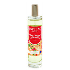 Духи интерьерные Esteban КОРИЦА и ЦВЕТОК МИНДАЛЯ (Almond Flower Cinnamon) 50 мл