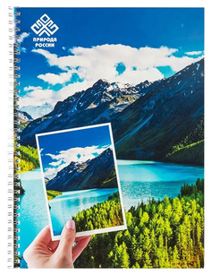 Тетрадь Action! Природа в клетку 80 листов