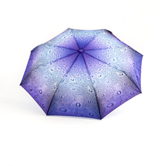 Зонт женский Raindrops RD0523825 сиреневый