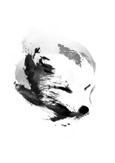Большой постер на стену "White Fox" 60х90 см без рамы Robert Farkas