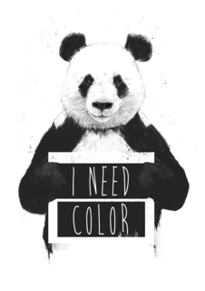 Большой постер на стену "I need color" 50х70 см без рамы Balazs Solti