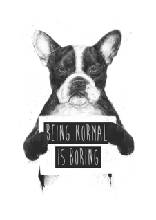 Большой постер на стену "Being normal is boring" 50х70 см без рамы Balazs Solti
