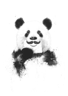 Большой постер на стену "Funny panda" 60х90 см без рамы Balazs Solti