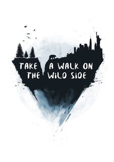 Большой постер на стену "Walk on the wild side" 40х50 см без рамы Balazs Solti