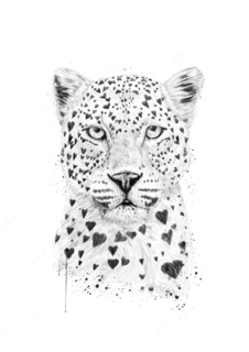 Большой постер на стену "Lovely leopard" 60х90 см без рамы Balazs Solti