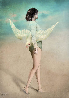 Большой постер на стену "Wings" 60х90 см без рамы Catrin Welz Stein