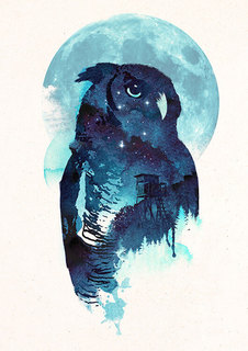Большой постер на стену "Midnight Owl" 40х50 см без рамы Robert Farkas