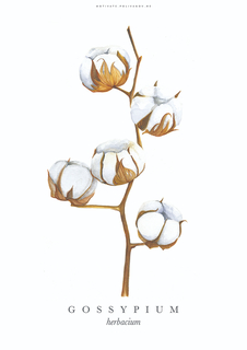 Большой постер на стену "Gossipium" 40х50 см без рамы Motivate Me Posters