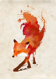 Большой постер на стену "Vulpes Vulpes" 50х70 см без рамы Robert Farkas