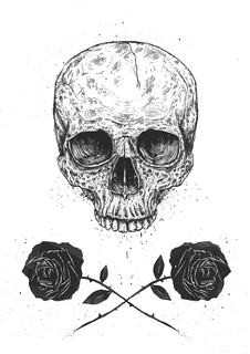 Большой постер на стену "Skull N Roses" 40х50 см без рамы Balazs Solti