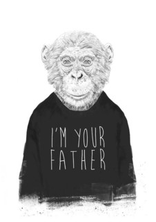 Большой постер на стену "Im your father" 50х70 см без рамы Balazs Solti