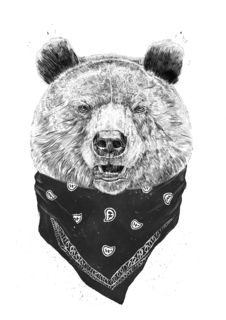 Большой постер на стену "Wild bear" 60х90 см без рамы Balazs Solti