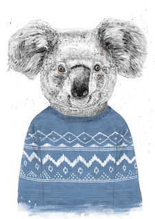 Большой постер на стену "Winter koala" 60х90 см без рамы Balazs Solti