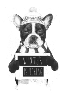 Большой постер на стену "Winter is boring" 40х50 см без рамы Balazs Solti