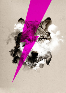 Большой постер на стену "Wolf Rocks" 50х70 см без рамы Robert Farkas