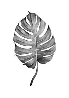 Большой постер на стену "Split Leaf" 60х90 см без рамы Scandimania