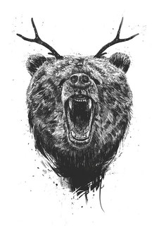 Большой постер на стену "Angry bear with antlers" 50х70 см без рамы Balazs Solti