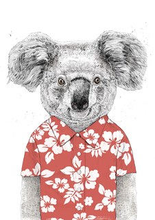 Большой постер на стену "Summer koala" 50х70 см без рамы Balazs Solti