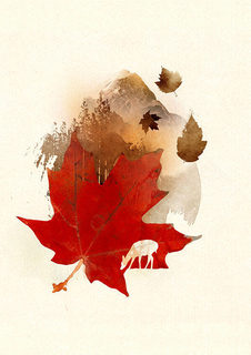 Большой постер на стену "Autmn Leaf" 50х70 см без рамы Robert Farkas