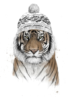 Большой постер на стену "Siberian tiger" 60х90 см без рамы Balazs Solti