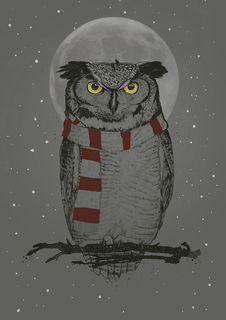 Большой постер на стену "Winter owl" 40х50 см без рамы Balazs Solti