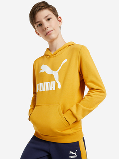 Худи для мальчиков PUMA Classics Logo, Желтый, размер 129-140