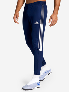 Брюки мужские adidas Tiro21 Training, Голубой, размер 48-50