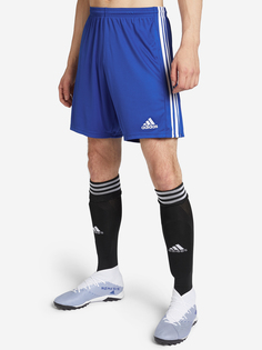 Шорты мужские adidas Squadra 21, Синий, размер 44-46
