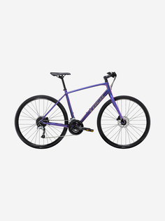 Велосипед городской Trek FX 3 Disc 700C, Фиолетовый, размер 165-175