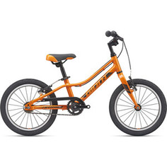Велосипед Giant ARX 16 F/W (2021) Orange