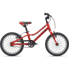 Велосипед Giant ARX 16 F/W (2021) Pure Red