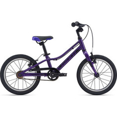 Велосипед Giant ARX 16 F/W (2021) Purple
