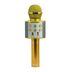 Микрофон-колонка Belsis Magic Acoustic Superstar Gold (MA3001GD)
