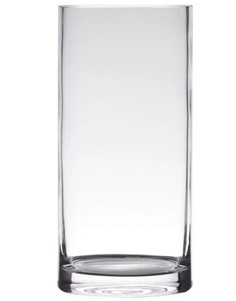 Ваза Hakbijl Glass Cylinder для цветов 12 х 35 см