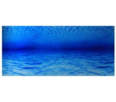 Фон для аквариума Home-Fish, пластик, 30x150 см