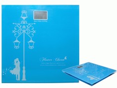 Весы напольные Sprintel Blue