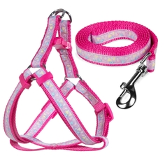 Шлейка и поводок для собак Triol Одуванчики-1, лилово-розовый, 260-370х12 мм; 1200х12 мм