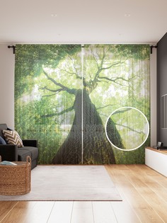 Фототюль JoyArty "Крон дерева", 145x265см (2 полотна со шторной лентой + 50 крючков)