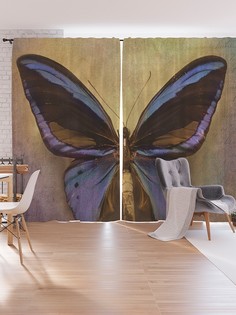Шторы под лён JoyArty "Ночная бабочка", серия Oxford DeLux, 340х265 см